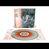 AUTHOR & PUNISHER Nocturnal Birding LP MERGE [VINYL 12"]